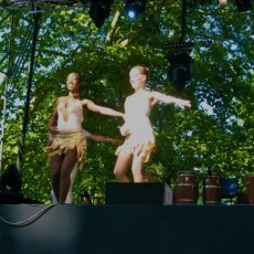Y Salsa 08